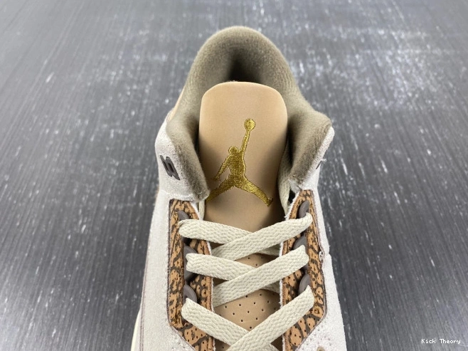 Kicktheory 3 Air Jordan Palomino CT8532-102 0815